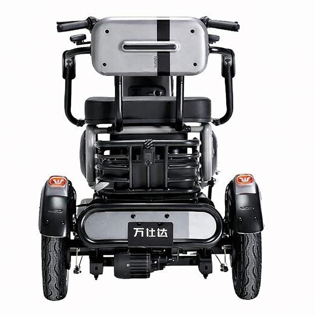 Triciclo - Wanshida U1-S – Eforce Mobilidade